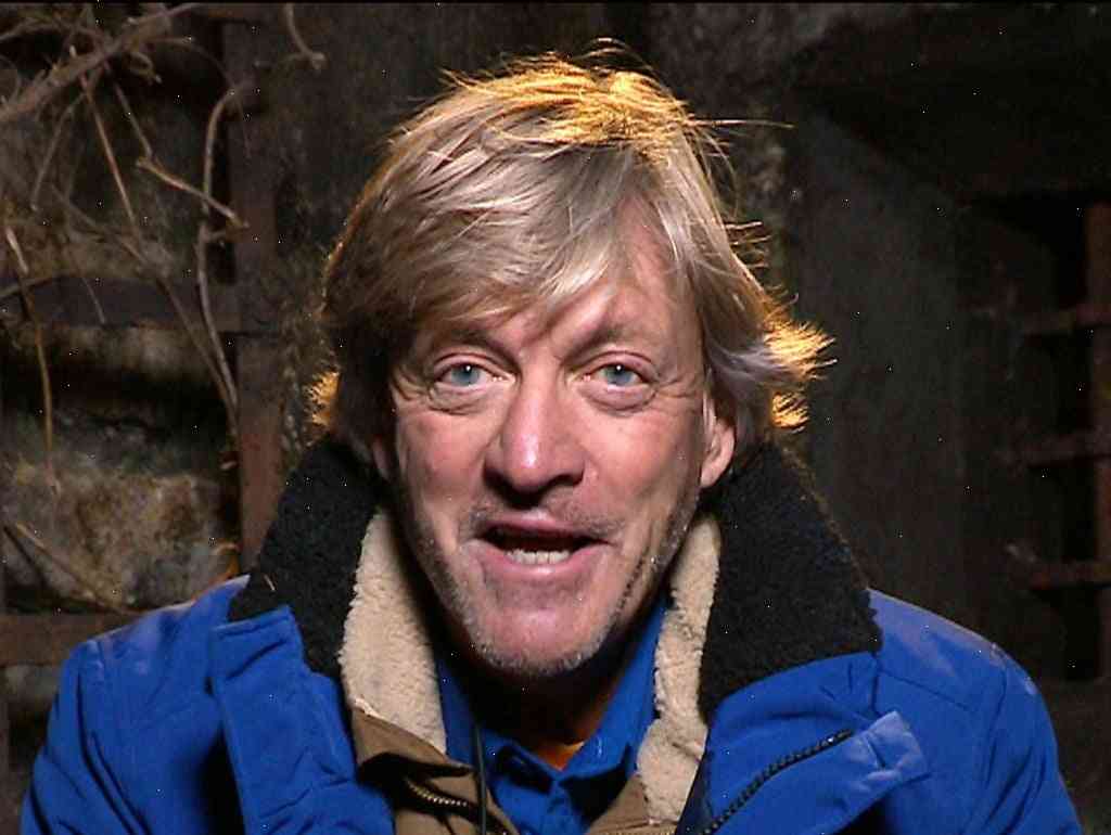 Richard Madeley gets on with his first year as host of I’m a Celebrity
